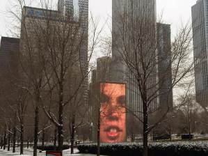 Chicago Millennium Park