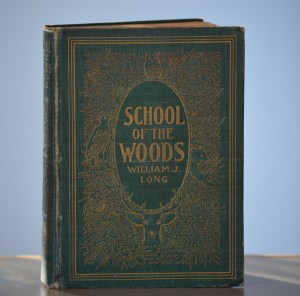 schoolofwoods - Copy