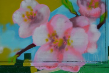 appreciate the beauty that surrounds us